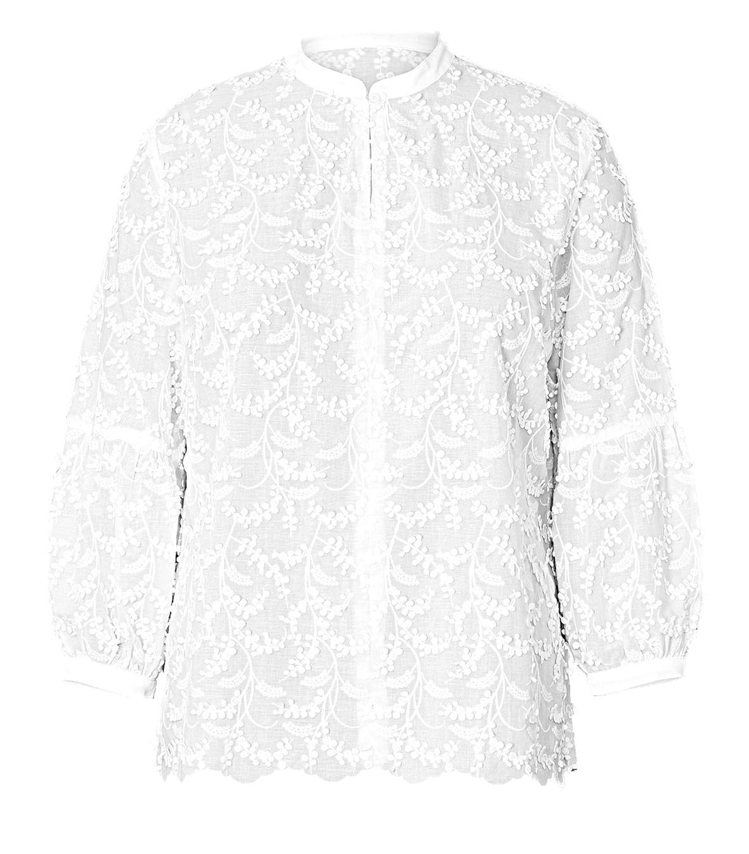 5839-B-Still-001