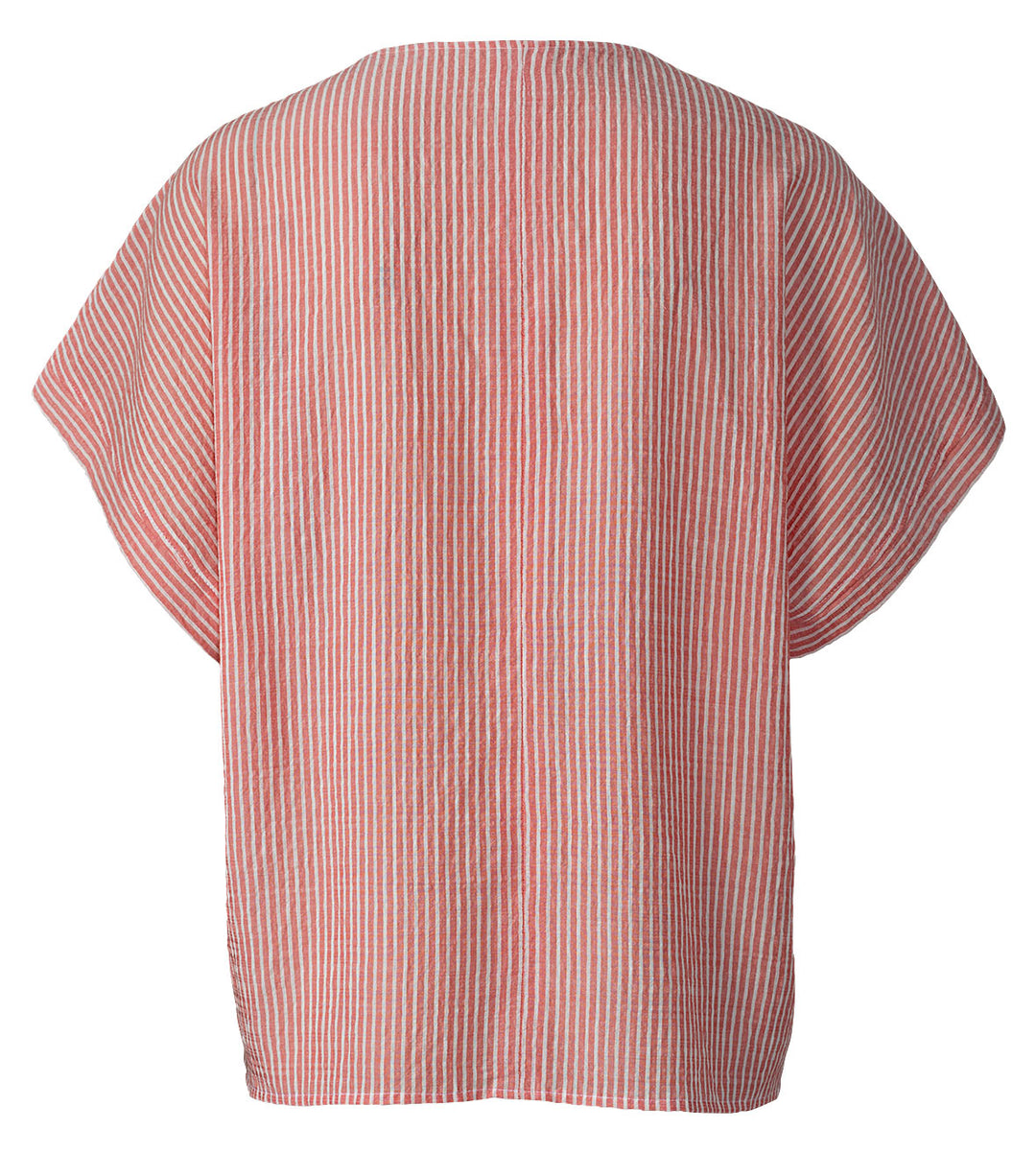 5894-B-Still-002