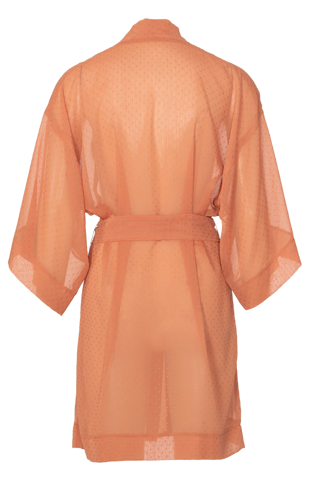 5995-C-Still-002