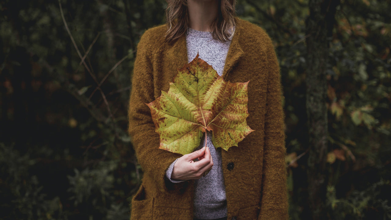 Jetzt die Neuheiten von Fall 2025 entdecken